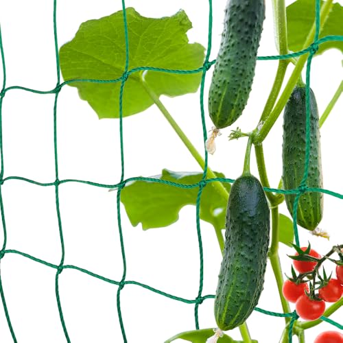 Premium Ranknetz mit 10cm Maschenweite für Kletterpflanzen Spalier Rankgitter Pflanzennetz Wachstum von Tomaten Gurken Optimale Rankhilfe Netz für Garten Gewächshaus (Grün, 2m x 5m) von Brinny