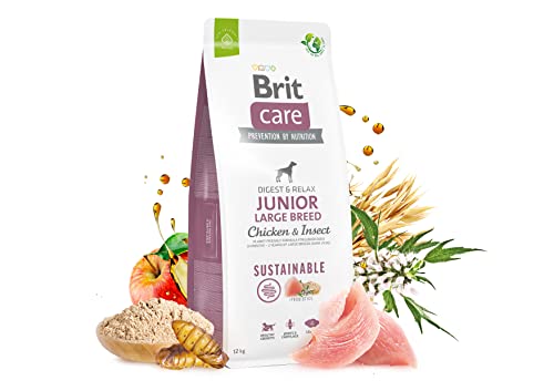 BRIT Care Dog Sustainable Junior Large Breed Chicken & Insect - Dry Dog Food - 12 kg BRIT Care Dog Sustainable Junior Large Breed Chicken & Insect - Dry Dog Food - 12 kg von Brit