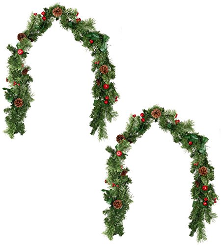 Britesta Deko-Girlanden: 2er-Set Deko-Tannengirlande mit Beeren, Äpfeln & Tannenzapfen, 180 cm (Künstliche Tannen-Girlande, Tannengirlande künstlich, Weihnachten außen) von Britesta