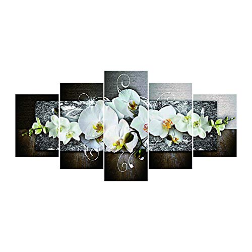 Broadroot 5D DIY Bohren Voll Diamant Malerei Motte Orchidee Kreuzstich Stickerei 5-Bilder Kombination Kit Handwerk Hand Home Decor Geschenk (01) von Broadroot