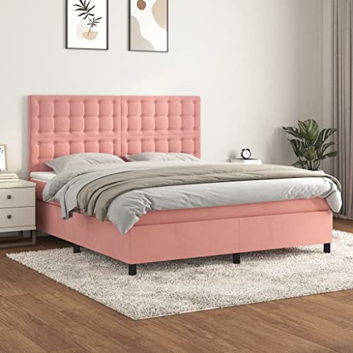 Brokky Boxspringbett mit Matratze Bett Mit Matratze Bett Mit Bettkasten Boxspringbetten Mit Matratze Rosa 180x200 cm Samt / 3143222 Brokky Boxspringbett mit Matratze Bett Mit Matratze Bett Mit Bettkasten Boxspringbetten Mit Matratze Rosa 180x200 cm Samt / 3143222 von Brokky