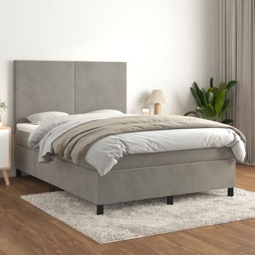 Brokky Boxspringbett mit Matratze Betten Bed Frame Bett Mit Matratze Boxspringbetten Jugendbett Hellgrau 140x190 cm Samt / 3142899 von Brokky