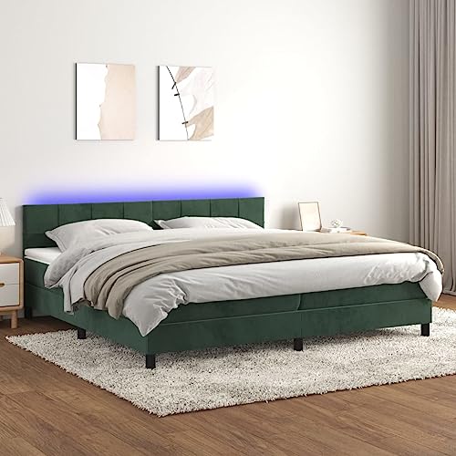 Brokky Boxspringbett mit Matratze & LED Bett Mit Matratze Boxspringbett Bettgestell Polsterbett Dunkelgrün 200x200 cm Samt Brokky Boxspringbett mit Matratze & LED Bett Mit Matratze Boxspringbett Bettgestell Polsterbett Dunkelgrün 200x200 cm Samt von Brokky