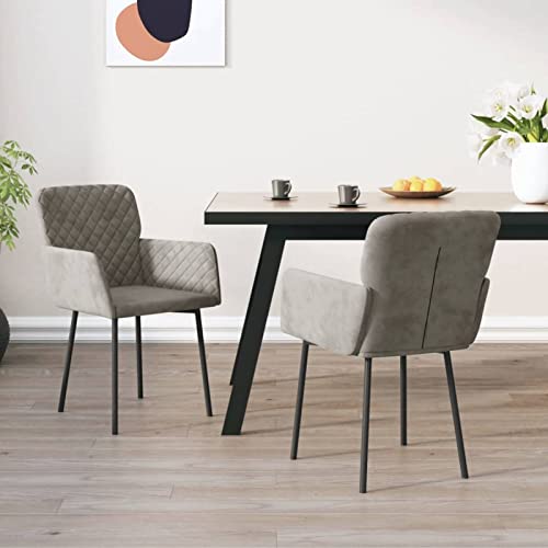 Brokky Esszimmerstühle 2 STK. Esstisch StüHle KüChenstuhl Esszimmer StüHle Chairs for Dining Table Hellgrau Samt von Brokky