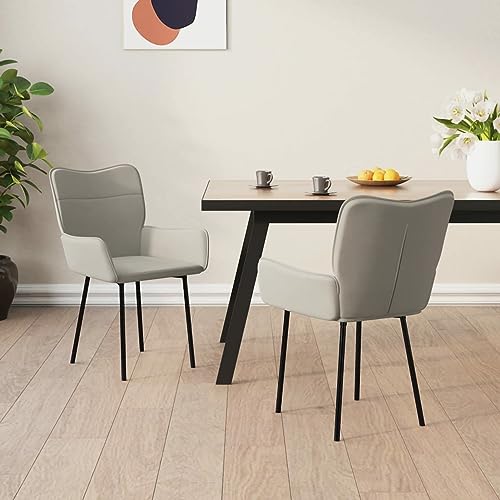 Brokky Esszimmerstühle 2 STK. EsszimmerstüHle StüHle Esszimmer Wohnzimmer MöBel Dining Chairs Essstuhl Hellgrau Samt / 344820 von Brokky