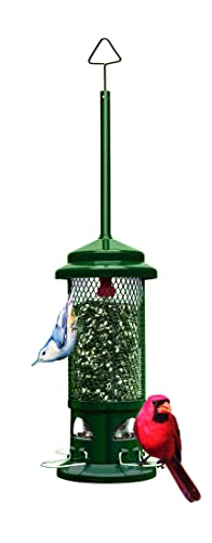 Squirrel Buster Vogelfutterstation für Vögel, Eichhörnchensicher, mit 4 Metallstangen, 0,6 kg Samenkapazität, Gartengrün von Brome