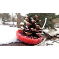 Feuerstarter. Handgemacht. Feuerstelle. Lagerfeuer. Umweltfreundliches Recyceltes Wachs Und Natürlich Gefallene Zapfen. Versand Kostenlos in Den Usa von BromleyDesigns