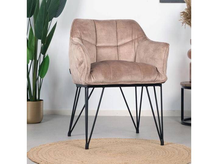 Bronx71 Esszimmerstuhl Samt Jaxon mit Armlehne taupe Bronx71 Esszimmerstuhl Samt Jaxon mit Armlehne taupe von Bronx71