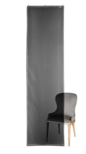 Bronze Flächenvorhang Transparent / 60x245cm / Durchscheinend (Dunkelgrau) von Bronze