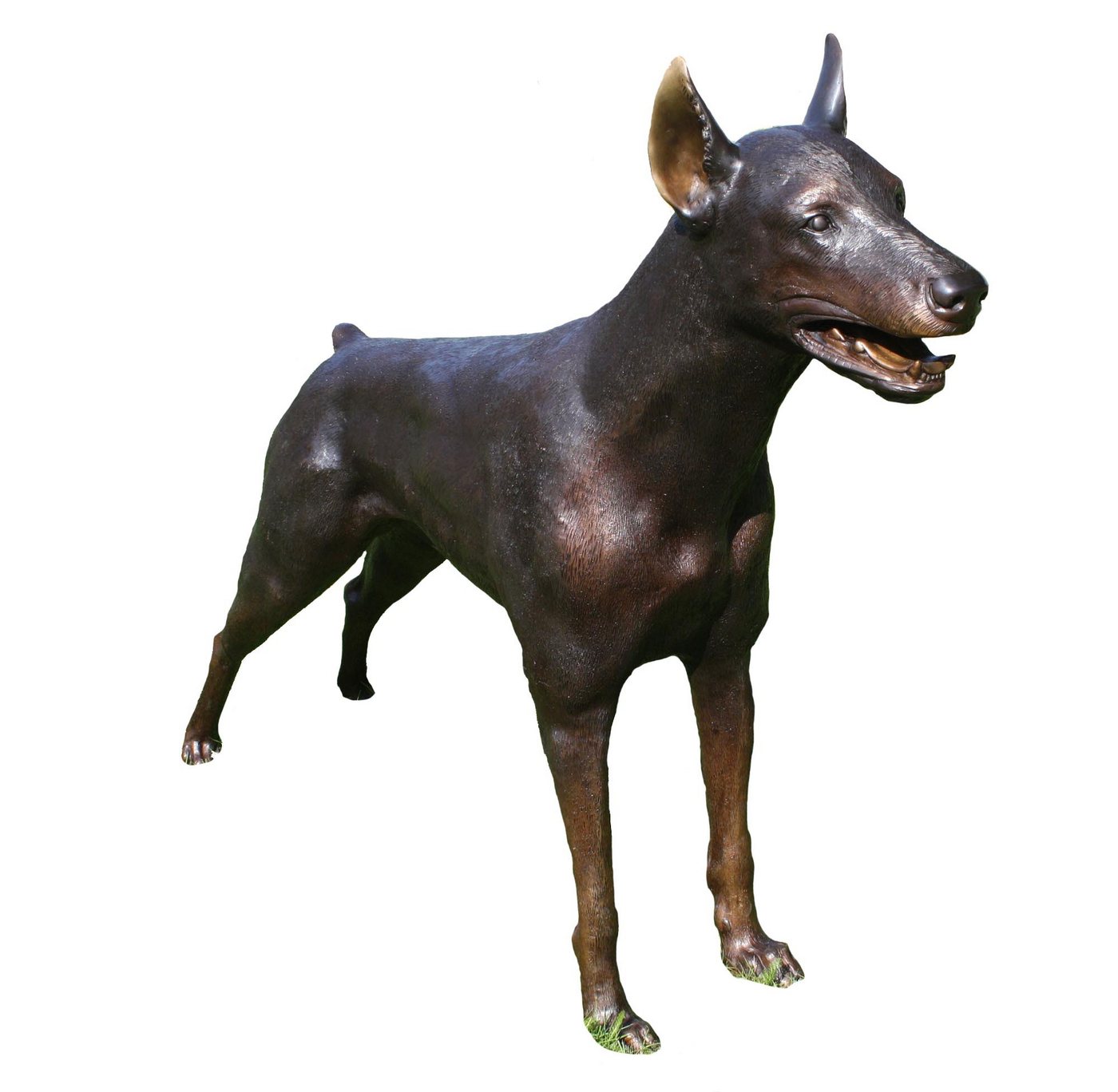 Bronzeskulpturen Skulptur Bronzefigur Dobermann groß stehend von Bronzeskulpturen