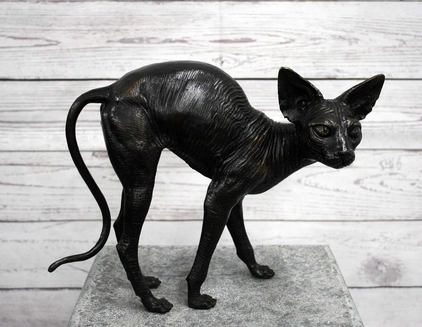 Bronzeskulpturen Skulptur Bronzefigur stehende Sphynx Katze von Bronzeskulpturen