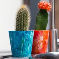 2Er-Pack Umweltfreundlicher Sukkulenten-Blumentopf Aus 100% Recyceltem Kunststoff | Nachhaltiger Indoor Topf Kakteentopf Blumentopf Für Innen von BrothersMakeStore
