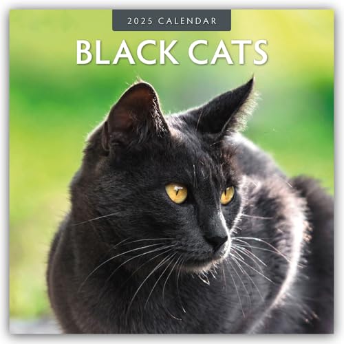 Black Cats – Schwarze Katzen 2025 – 16-Monatskalender: Original Red Robin Publishing Ltd-Kalender [Mehrsprachig] [Kalender] (Wall-Kalender) von Brown Trout-Auslieferer Flechsig