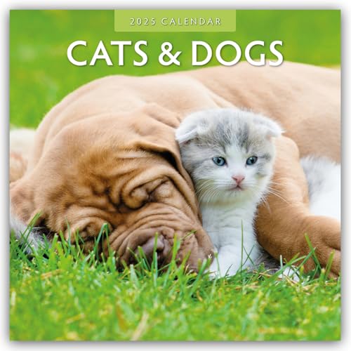 Cats & Dogs – Katzen & Hunde 2025 – 16-Monatskalender: Original Red Robin Publishing Ltd-Kalender [Mehrsprachig] [Kalender] (Wall-Kalender) von Brown Trout-Auslieferer Flechsig