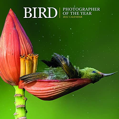 Bird - Photographer of the Year - Vögel - Fotografen des Jahres 2022: Original Carousel-Kalender [Mehrsprachig] [Kalender] von BrownTrout