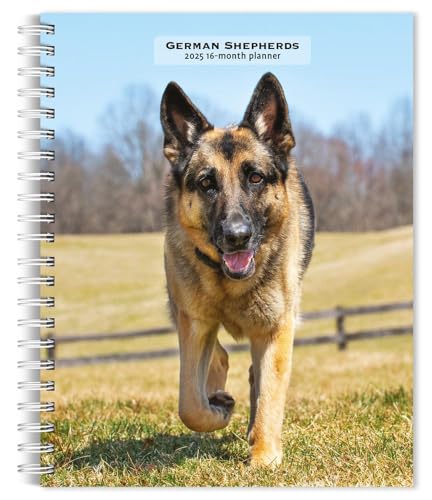 German Shepherds 2025 6 X 7.75 Inch Spiral-Bound Wire-O Weekly Engagement Planner Calendar New Full-Color Image Every Week German Shepherds 2025 6 X 7.75 Inch Spiral-Bound Wire-O Weekly Engagement Planner Calendar New Full-Color Image Every Week von BrownTrout