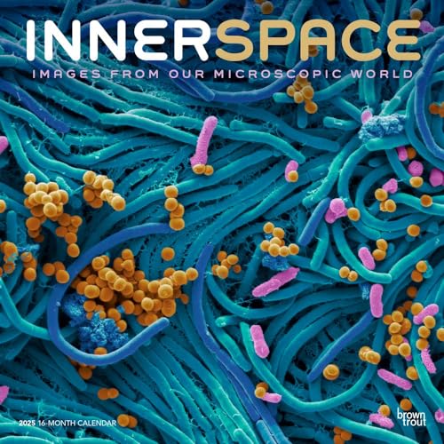 Innerspace | 2025 12 x 24 Inch Monthly Square Wall Calendar | Plastic-Free | BrownTrout | Science Space Exploration Nature Innerspace | 2025 12 x 24 Inch Monthly Square Wall Calendar | Plastic-Free | BrownTrout | Science Space Exploration Nature von BrownTrout