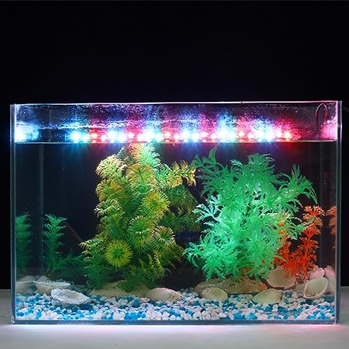 Aquariumlicht LED für Aquarien, Hochleistungs-Vollspektrum-Beleuchtung mit 30 LEDs, Ideal für Süßwasser & Meerwasser, Gleichmäßige Tag- & Nachtlichtsimulation Aquariumlicht LED für Aquarien, Hochleistungs-Vollspektrum-Beleuchtung mit 30 LEDs, Ideal für Süßwasser & Meerwasser, Gleichmäßige Tag- & Nachtlichtsimulation von Brrnoo
