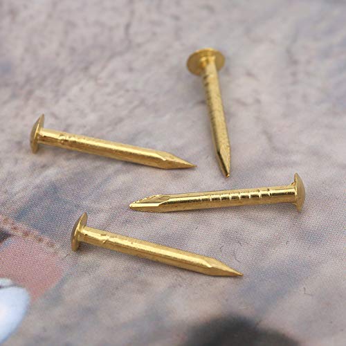 Brrnoo Messingnägel, Nägel Hardware Dreist Messing Vintage 100pcs Runde Kopfwandnägel für Scharniere Kisten Handwerksprojekte (15mm lang) von Brrnoo