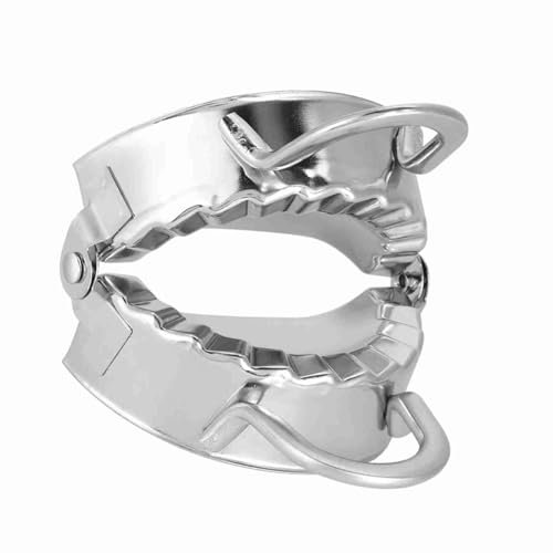 Brrnoo Reisfleischknödel Hersteller, Knödel Wrapper Meatpie Teig Cutter Dumpling Ravioli Pastry Empanadas (#2) von Brrnoo