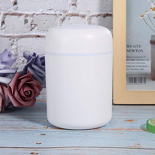 Brrnoo Tragbarer USB -Autobefeuchter, 300 Ml Desktop -Luftbefeuchter mit Farbenfrohen Nachtlicht, für Auto, Zuhause, Büro (WHITE) von Brrnoo
