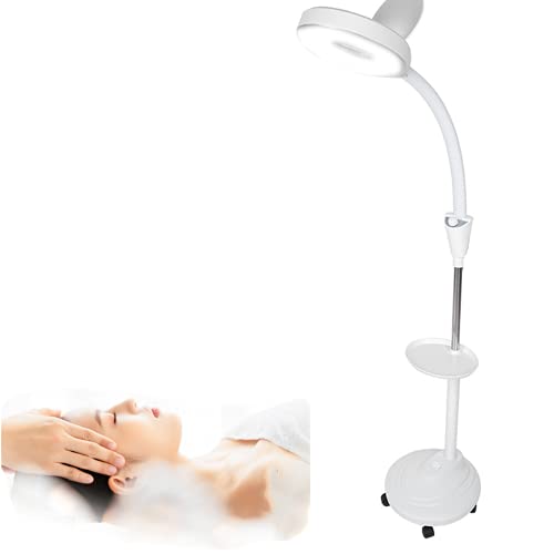 Stehlampen, Lampe mit 8 x Lupe + 5 Rädern Stand Ästhetische Beleuchtung, einstellbare LED Kaltlicht Stehlampe für Beauty Tattoo von Brrnoo