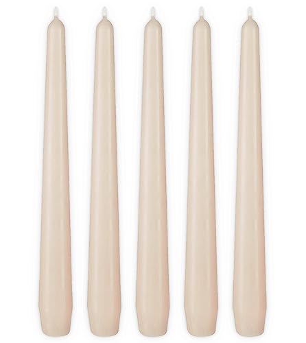 BRUBAKER Premium Spitzkerzen Champagner - 5 Stück - bis zu 7,5 Stunden Brenndauer pro Kerze - 24 cm Tafelkerzen Set für Kerzenständer und Kronleuchter - Leuchterkerzen Halterkerzen von BRUBAKER