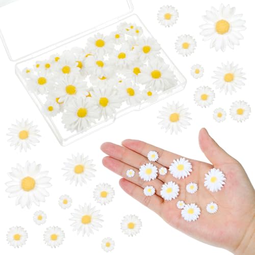 Mini Gänseblümchen Harz Charms 50 Stück Gänseblümchen Deko Weiße Streudeko Blumen mit Aufbewahrungsbox Deko Blumen für DIY Basteleien Party Heimdekoration von Bruislard