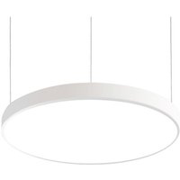 Brumberg LED-Pendel-Flächenleuchte, direkt, DALI dimmbar - 13612173 von Brumberg Leuchten GmbH & Co. KG