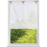 Bruno Banani Raffrollo "TILO" mit Hakenaufhängung transparent, Ausbrenner, gewebt, verschiedene Größen von Bruno Banani