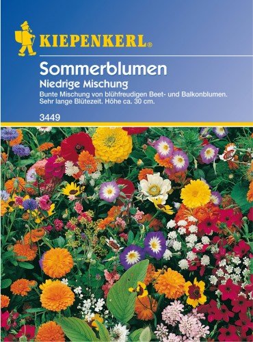 Niedriger Sommerblumen-Mix, 1 Tüte Samen von Bruno Nebelung GmbH