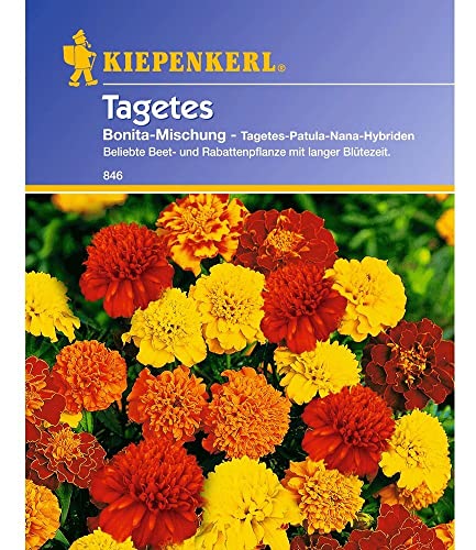 Tagetes 'Bonita Mischung',1 Portion von INUSPACE