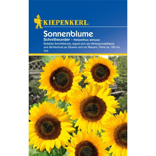 Sonnenblume 'Schnittwunder',1 Portion von INUSPACE