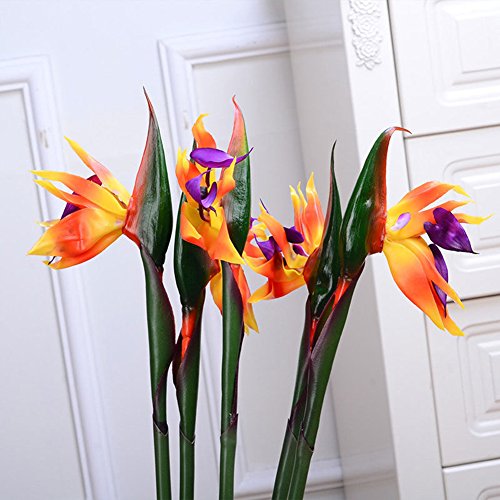 Brussel 1 Stück künstliche Blume Paradiesvogel, Kunstpflanze aus Kunststoff, künstliche Strelitzie, Reginae, tropische Nachahmung, Blume, orange von Brussel