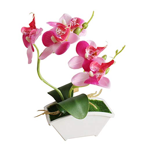 Brussels08 Dekorative künstliche Blume Topfpflanze gefälschte Schmetterling Orchidee Blume Phalaenopsis mit Blumentopf Desktop Mini Bonsai Blume für Home Office Party Hochzeit Dekoration Rosa von Brussels08