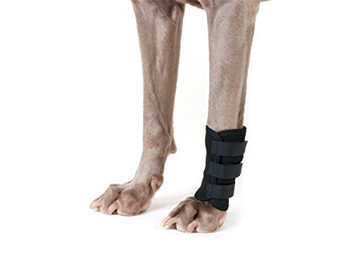 Brustgeschirr Hundegelenkschoner von Back on Track schwarz von brustgeschirr.com