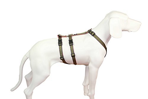 Feltmann NoExit Hundegeschirr Soft-Muster, Khaki, 25mm/60-80cm von brustgeschirr.com