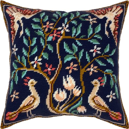 Vögel. Needlepoint Set mit bedruckter Gobelin (40 × 40 cm) Kissenset mit Stickerei zur kreativen Inneneinrichtung Handarbeitsset für erwachsene Anfänger von Brvsk