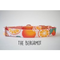 Hundehalsband, Mädchen Sommer Hundehalsband Für Sommer, Rosa Orange Obst Kleines von BrynandCo