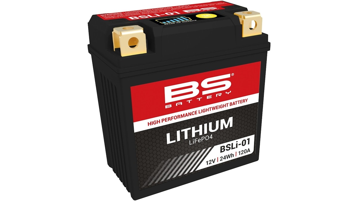 BS-Battery LiFePO4 Batterie wartungsfrei von Bs Battery