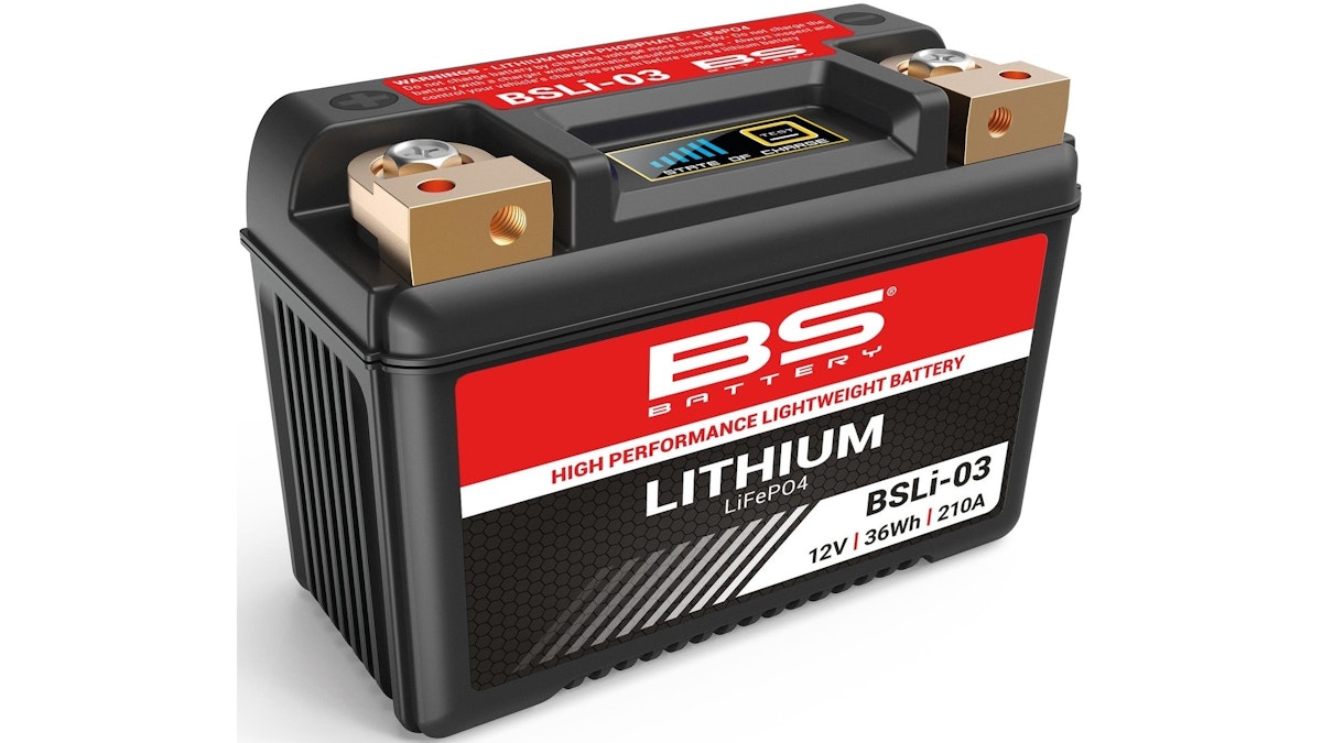 BS-Battery LiFePO4 Batterie wartungsfrei von Bs Battery