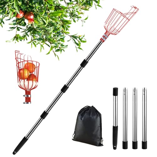 Apfelpflücker mit Teleskopstiel Edelstahl 2.0M, Obstpflücker mit Teleskopstiel Metall, Kirschpflücker Outdoor Garten, Obstpflücker mit Teleskopstange, Obsternter Erntehelfer Birnen Beeren Ø 145mm Apfelpflücker mit Teleskopstiel Edelstahl 2.0M, Obstpflücker mit Teleskopstiel Metall, Kirschpflücker Outdoor Garten, Obstpflücker mit Teleskopstange, Obsternter Erntehelfer Birnen Beeren Ø 145mm von Bseical
