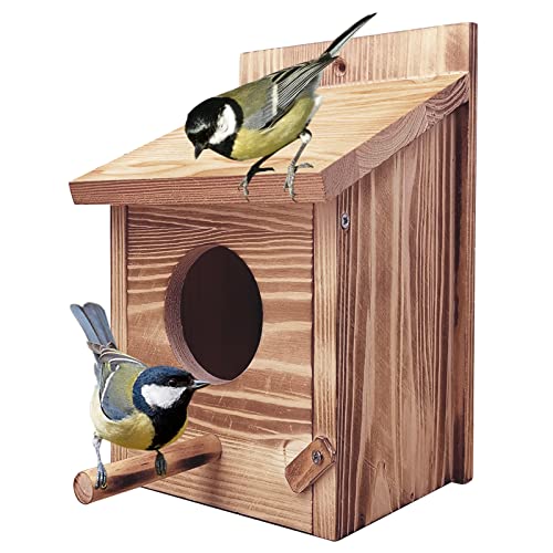 Nistkasten, Vogelhaus Nistkasten, VogelhäUschen Zum AufhäNgen, Meisenkasten Nistkasten, Holzbausatz Wetterfest, NistkäSten FüR VöGel Nach Nabu, Nistkasten Rotkehlchen Wellensittich von Bseical