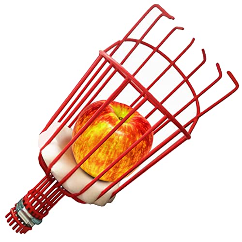 Bseical Obstpflücker mit Teleskopstiel, Apfelpflücker Korb Teleskopstange 1.6/2.4/3.6m, Kirschpflücker Erntehelfer Obst Pflücker, Obstfänger Greifer Äpfeln Beeren Garten Obsternter Metall (Ø 145mm) Bseical Obstpflücker mit Teleskopstiel, Apfelpflücker Korb Teleskopstange 1.6/2.4/3.6m, Kirschpflücker Erntehelfer Obst Pflücker, Obstfänger Greifer Äpfeln Beeren Garten Obsternter Metall (Ø 145mm) von Bseical