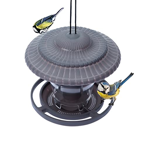 Vogelfutterspender Zum Aufhängen, Vogelhäuschen Balkon Bausatz, Futterstation Vögel Wetterfest, Futterspender Wildvögel Rotkehlchen Schutz Vor Eichhörnchen, Futtersäule Füllung Mehlwürmer (Grau) von Bseical