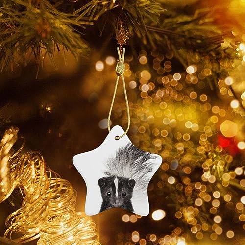 Weihnachtsschmuck Stinktier Druck Keramik Hängende Ornament Dekorative Ornament Humorvoller Weihnachtsbaum Hängende Ornament Personalisierte Weihnachten Wohnkultur von Btcowzrv