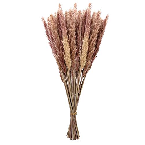 Btruely 15 Stück Pampasgras Getrocknet Deko, Trockenblumen Vasen Getrocknete Blumen 60cm, Blumenstrauß Boho DIY für Inneneinrichtung Schlafzimmer Wohnzimmer Balkon Zimmer Tischdeko Hochzeit (Bronze) von Btruely