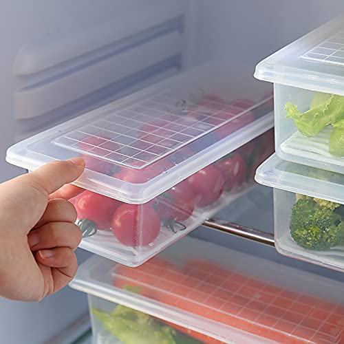 Btruely Frischhaltebox mit Deckel durchsichtig – Ideal als Kühlschrank-Aufbewahrungsbox oder Gefrierbox – Ordnungssystem für den gesamten Haushalt (30 * 11.7 * 9cm) von Btruely