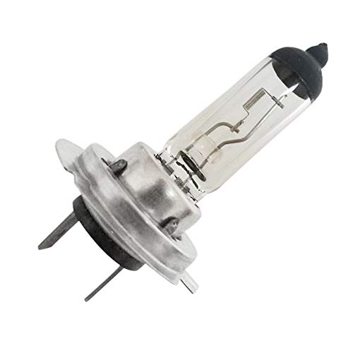 Btruely Nivelliermasse 12V Licht 6000K Das Auto H7 Lampe Scheinwerferlampe Helles Gas 55W 2 Stück Autolicht Tuning C (正白Pure White #4, One Size) von Btruely