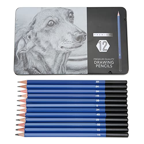 12 Stück Professionelles Kunst Zeichenstift Set, Bleistift Set mit Aufbewahrungsbox, 165mm 5H - 8B 12 Verschiedene Skizzenstift Test Kohlestifte Bleistift Sketch Mäppchen für Anfänger und Studenten 12 Stück Professionelles Kunst Zeichenstift Set, Bleistift Set mit Aufbewahrungsbox, 165mm 5H - 8B 12 Verschiedene Skizzenstift Test Kohlestifte Bleistift Sketch Mäppchen für Anfänger und Studenten von Buachois